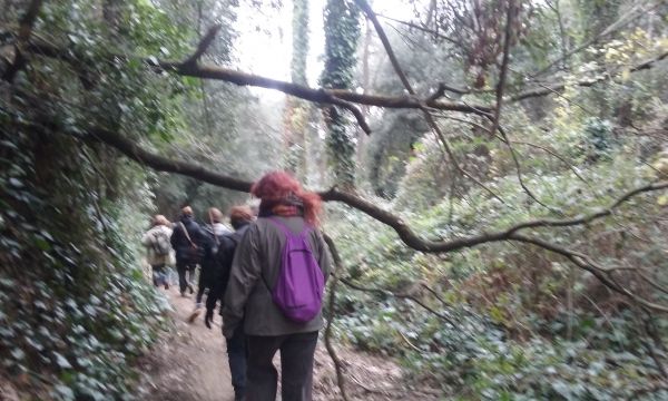 Passejant per Collserola: De Valldaura a Cerdanyola passant per la Vall d'en Feixes,  14 de desembre &bsol;&bsol;&bsol; RELLA