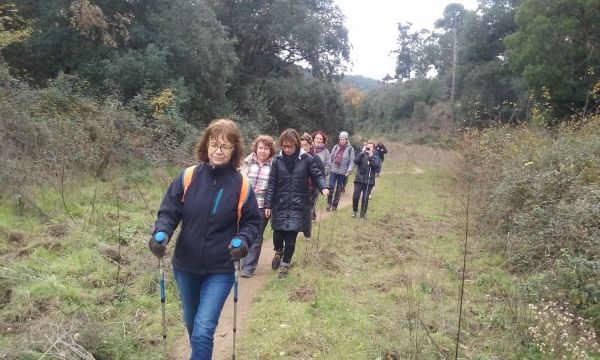 Passejant per Collserola: De Valldaura a Cerdanyola passant per la Vall d'en Feixes,  14 de desembre &bsol;&bsol;&bsol; RELLA