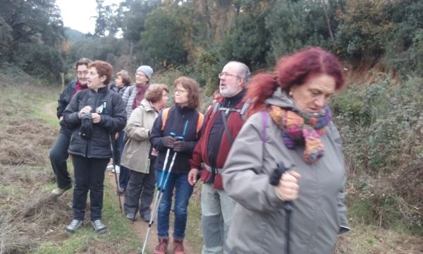 Passejant per Collserola: De Valldaura a Cerdanyola passant per la Vall d'en Feixes,  14 de desembre &bsol;&bsol;&bsol; RELLA
