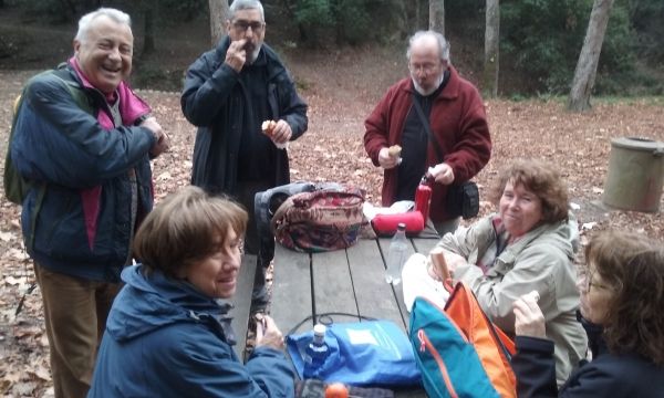 Passejant per Collserola: De Valldaura a Cerdanyola passant per la Vall d'en Feixes,  14 de desembre &bsol;&bsol;&bsol; RELLA
