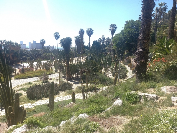 COMENTARI PASSEJADA MONTJUÏC &bsol;&bsol;&bsol; RELLA