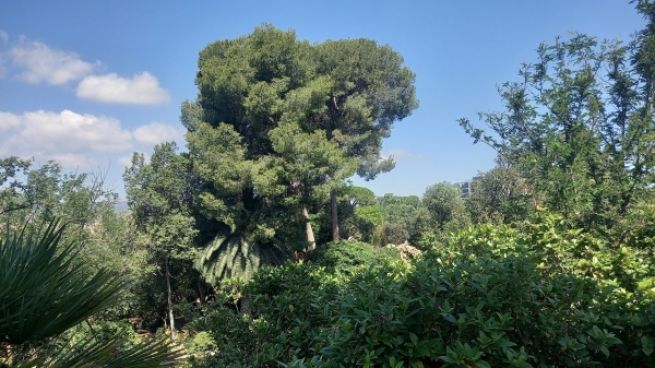 PASSEJADA PARC DE TORREBLANCA &bsol;&bsol;&bsol; RELLA