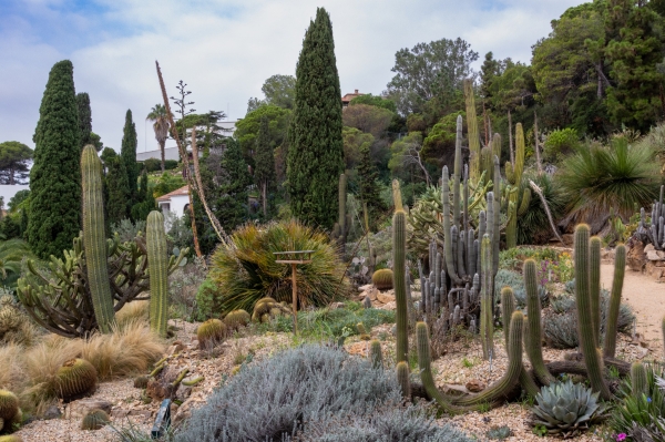 Sortida fotogràfica als Jardins de Mar i Murtra de Blanes &bsol;&bsol;&bsol; RELLA