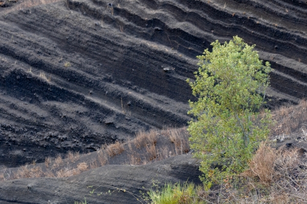 SORTIDA FOTOGRÀFICA  A LA GARROTXA ALS VOLCANS DEL CROSCAT I DE SANTA MARGARIDA &bsol;&bsol;&bsol; RELLA