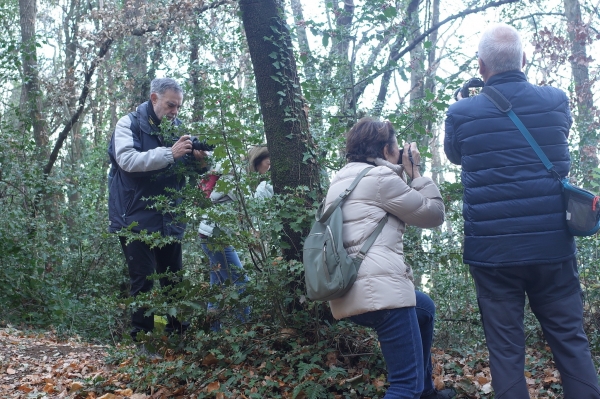 SORTIDA FOTOGRÀFICA  A LA GARROTXA ALS VOLCANS DEL CROSCAT I DE SANTA MARGARIDA &bsol;&bsol;&bsol; RELLA