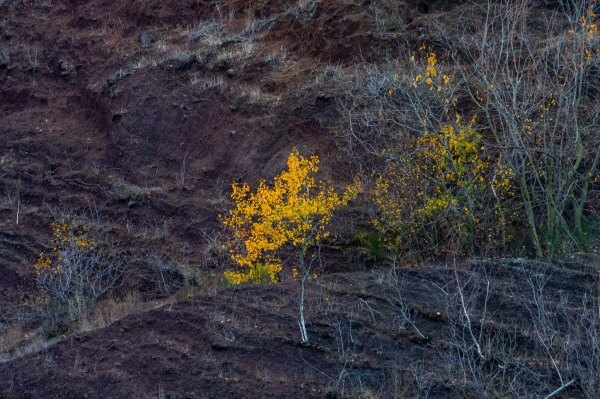 SORTIDA FOTOGRÀFICA  A LA GARROTXA ALS VOLCANS DEL CROSCAT I DE SANTA MARGARIDA &bsol;&bsol;&bsol; RELLA