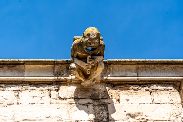 SORTIDA FOTOGRÀFICA A LA SEU VELLA DE LLEIDA &bsol;&bsol;&bsol; RELLA