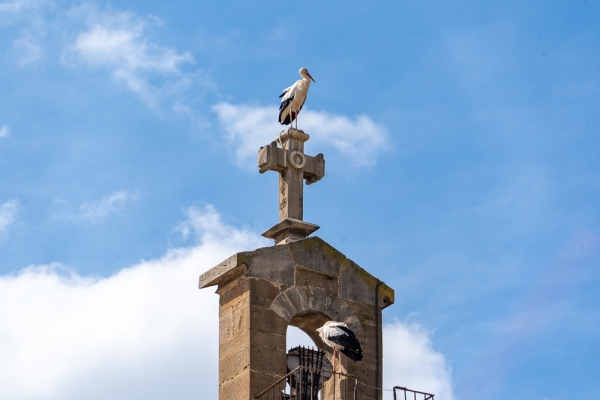 SORTIDA FOTOGRÀFICA A LA SEU VELLA DE LLEIDA &bsol;&bsol;&bsol; RELLA