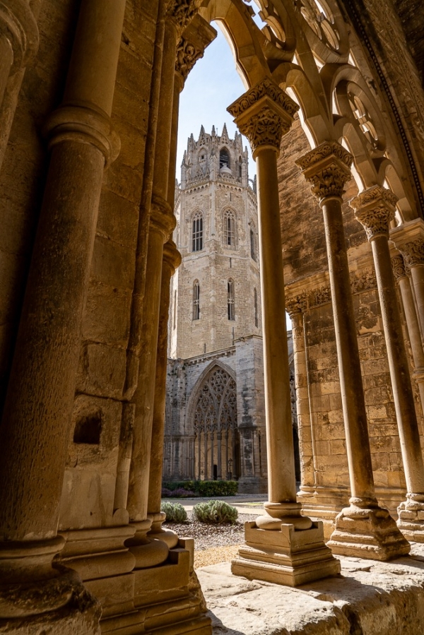 SORTIDA FOTOGRÀFICA A LA SEU VELLA DE LLEIDA &bsol;&bsol;&bsol; RELLA