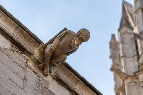 SORTIDA FOTOGRÀFICA A LA SEU VELLA DE LLEIDA &bsol;&bsol;&bsol; RELLA
