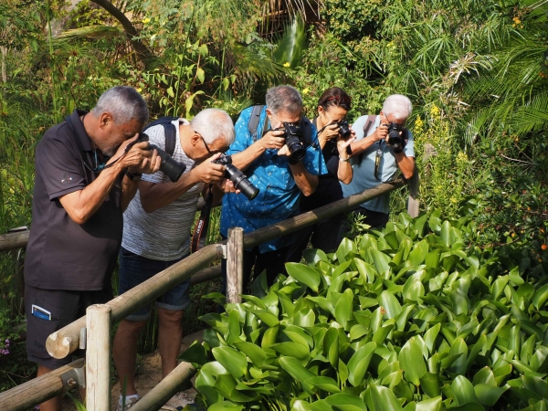 Sortida fotogràfica als Jardins de Mar i Murtra de Blanes &bsol;&bsol;&bsol; RELLA