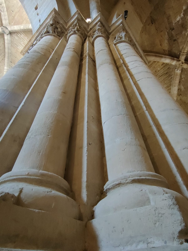 SORTIDA FOTOGRÀFICA A LA SEU VELLA DE LLEIDA &bsol;&bsol;&bsol; RELLA