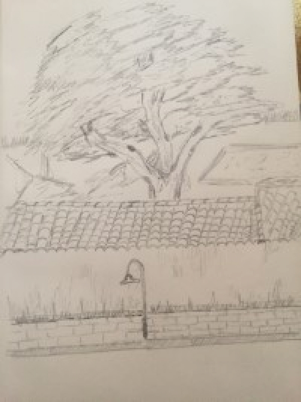 DIBUIXOS DES DE L'ALT EMPORDÀ &bsol;&bsol;&bsol; RELLA