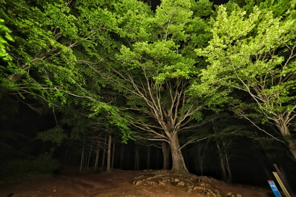 El grup de Fotografia va a Santa Fe del Montseny a fer fotografia nocturna &bsol;&bsol;&bsol; RELLA