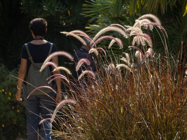 Sortida fotogràfica als Jardins de Mar i Murtra de Blanes &bsol;&bsol;&bsol; RELLA