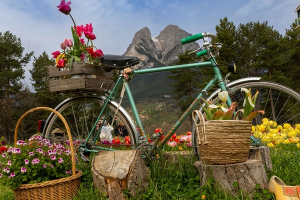 SORTIDA FOTOGRÀFICA A TULIPMANIA &bsol;&bsol;&bsol; RELLA