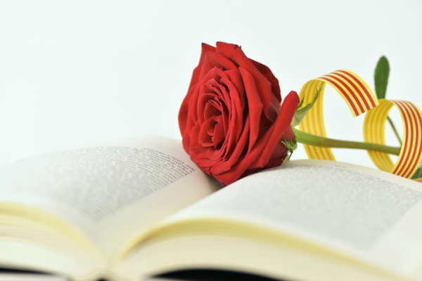 EDUCATECA 17: LLIBRES SOBRE EDUCACIÓ PAR A SANT JORDI 2026 &bsol;&bsol;&bsol; RELLA