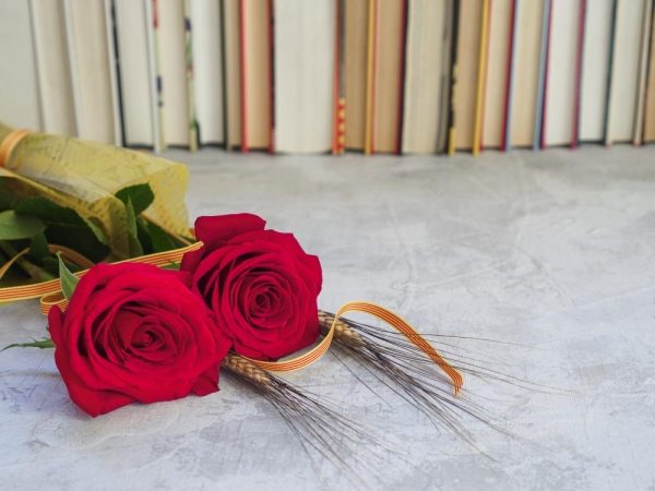EDUCATECA 14.             Llibres sobre educació per a Sant Jordi 2025 &bsol;&bsol;&bsol; RELLA