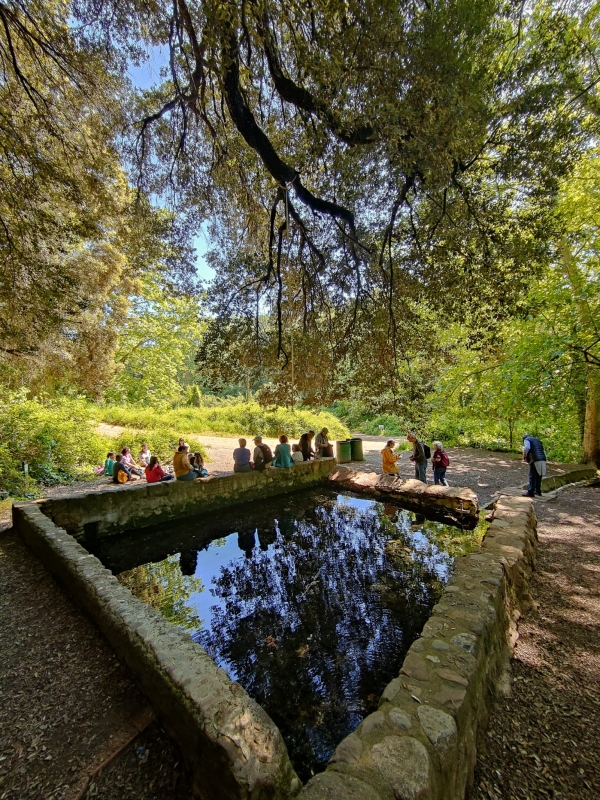 ALGUNES IMATGES PASSEJADA MAIG &bsol;&bsol;&bsol; RELLA