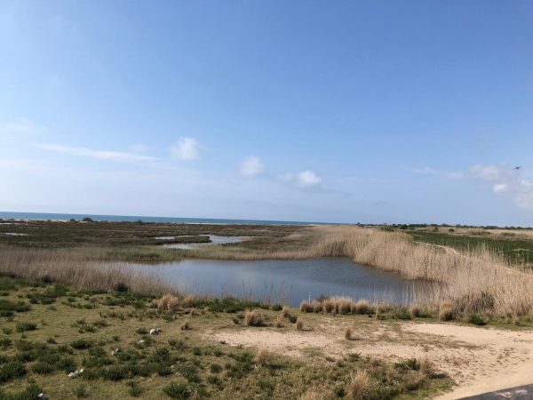 IMATGES ITINERARI PEL DELTA DEL LLOBREGAT &bsol;&bsol;&bsol; RELLA