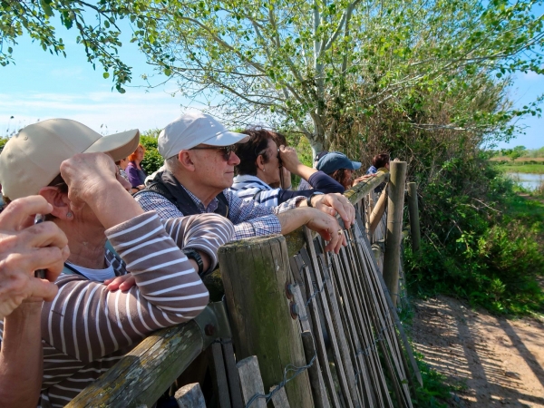 IMATGES ITINERARI PEL DELTA DEL LLOBREGAT &bsol;&bsol;&bsol; RELLA