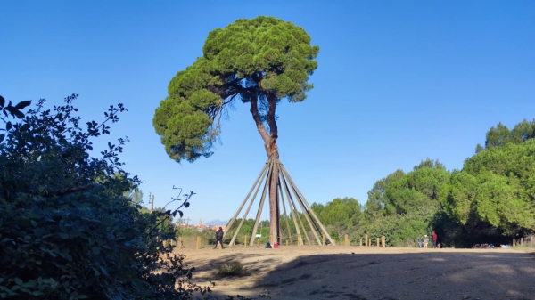 13/11. PASSEJADA SANT CUGAT - CAN COLL, CENTRE D'EDUCACIÓ AMBIENTAL &bsol;&bsol;&bsol; RELLA