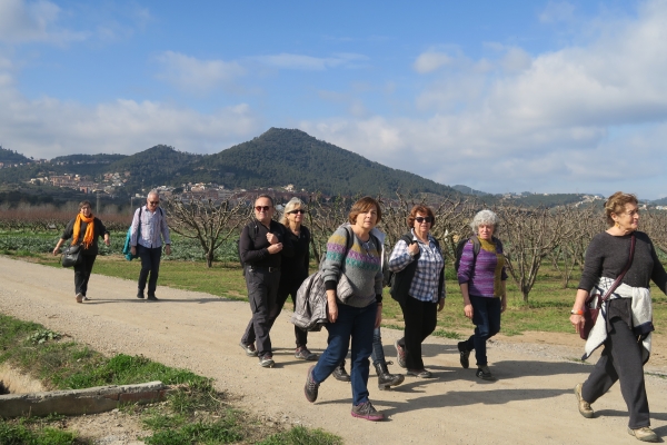 Passejada 13 de febrer: Colònia Güell i Parc Agrari del Baix Llobregat &bsol;&bsol;&bsol; RELLA