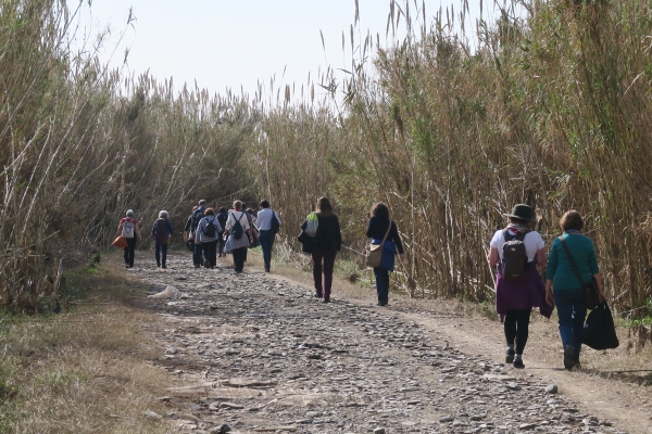 Passejada 13 de febrer: Colònia Güell i Parc Agrari del Baix Llobregat &bsol;&bsol;&bsol; RELLA