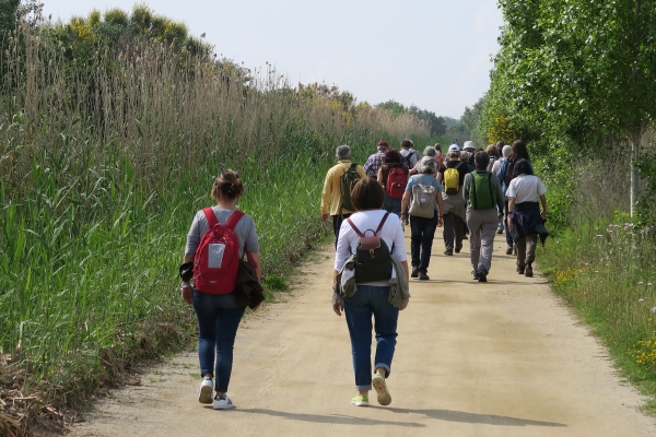 Delta del Llobregat. La passejada &bsol;&bsol;&bsol; RELLA