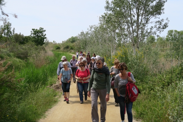 Delta del Llobregat. La passejada &bsol;&bsol;&bsol; RELLA