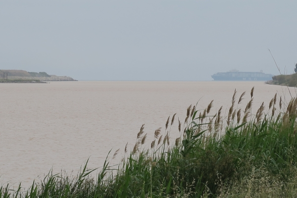 Delta del Llobregat. La passejada &bsol;&bsol;&bsol; RELLA