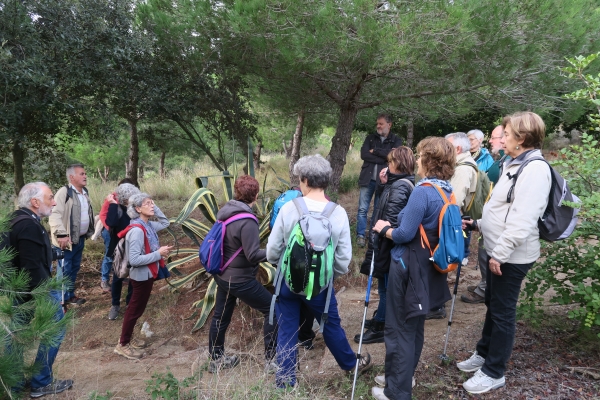 Caminada de tardor per la Serra de Marina &bsol;&bsol;&bsol; RELLA