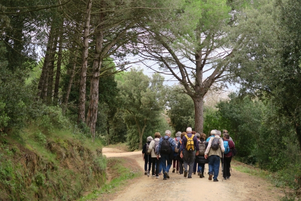 Caminada de tardor per la Serra de Marina &bsol;&bsol;&bsol; RELLA