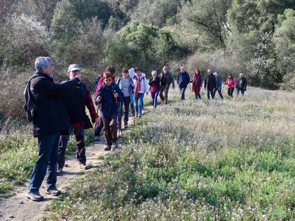 COMENTARI PASSEJADA LA FLORESTA - MOLINS DE REI &bsol;&bsol;&bsol; RELLA
