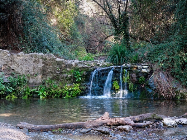COMENTARI PASSEJADA LA FLORESTA - MOLINS DE REI &bsol;&bsol;&bsol; RELLA