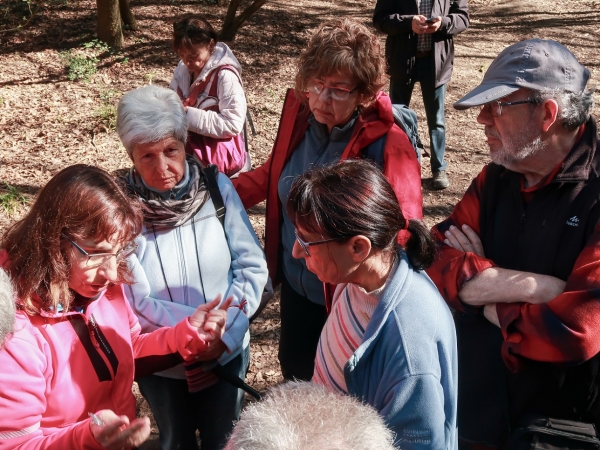 COMENTARI PASSEJADA LA FLORESTA - MOLINS DE REI &bsol;&bsol;&bsol; RELLA