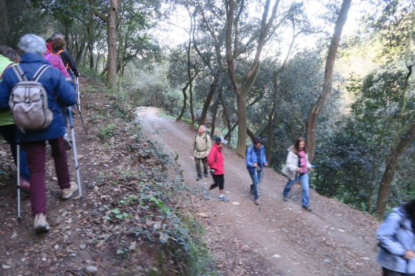 COLLSEROLA. RUTA DE FONTS &bsol;&bsol;&bsol; RELLA