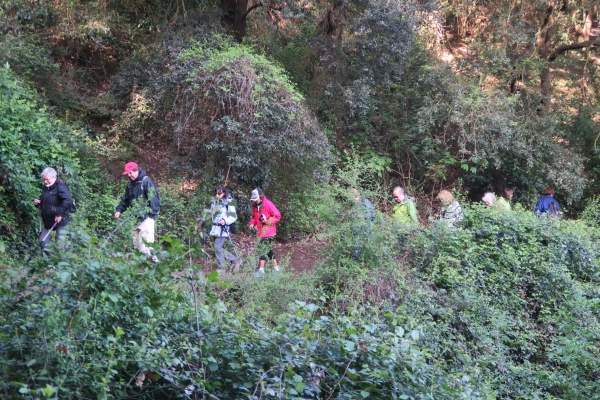 COLLSEROLA. RUTA DE FONTS &bsol;&bsol;&bsol; RELLA