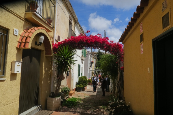 CAMINADA PER HORTA &bsol;&bsol;&bsol; RELLA