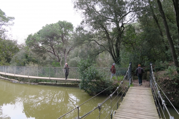 Excursió a Sant Cugat i al Parc de Collserola &bsol;&bsol;&bsol; RELLA