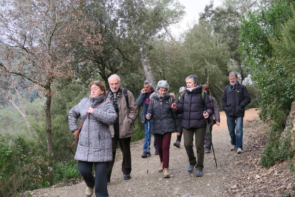 Excursió a Sant Cugat i al Parc de Collserola &bsol;&bsol;&bsol; RELLA
