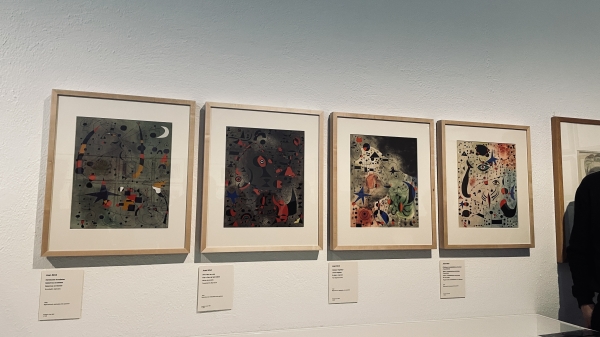 COMENTARI VISITA MIRÓMATISSE &bsol;&bsol;&bsol; RELLA