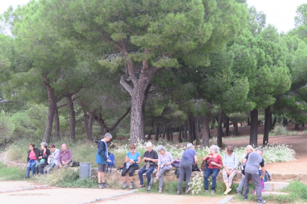 Caminada pel parc de Montjuïc &bsol;&bsol;&bsol; RELLA