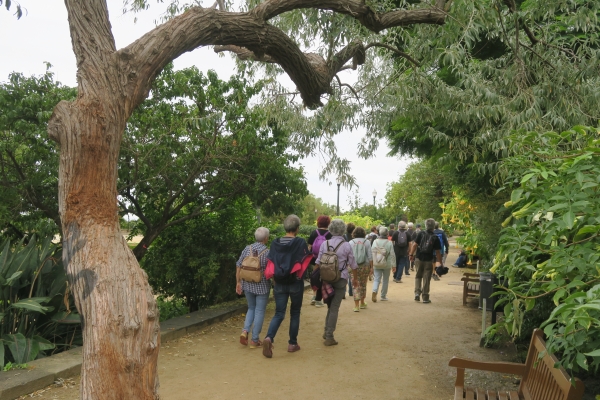 Caminada pel parc de Montjuïc &bsol;&bsol;&bsol; RELLA