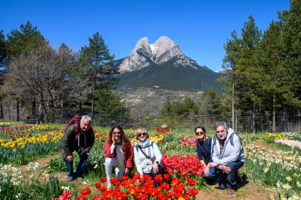 SORTIDA FOTOGRÀFICA A TULIPMANIA &bsol;&bsol;&bsol; RELLA