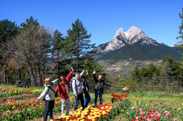 SORTIDA FOTOGRÀFICA A TULIPMANIA &bsol;&bsol;&bsol; RELLA