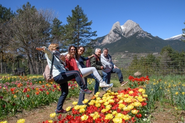SORTIDA FOTOGRÀFICA A TULIPMANIA &bsol;&bsol;&bsol; RELLA