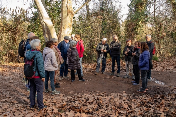 8/2 COMENTARI PASSEJADA PER MONTMELÓ &bsol;&bsol;&bsol; RELLA