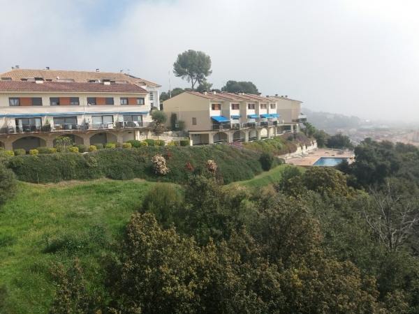 La Natura agraeix el nostre confinament &bsol;&bsol;&bsol; RELLA