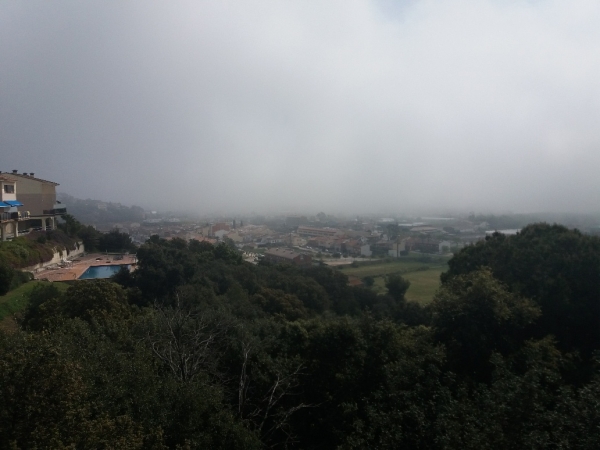 La Natura agraeix el nostre confinament &bsol;&bsol;&bsol; RELLA